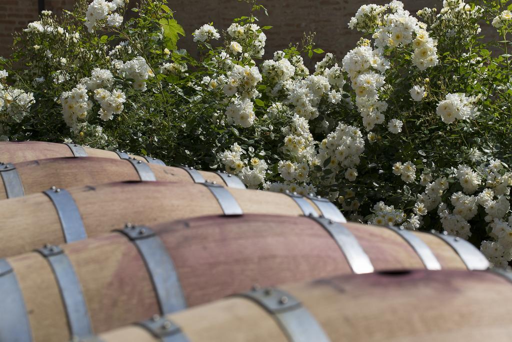 Marchesi Alfieri - Cantine E Ospitalita San Martino Alfieri Kültér fotó