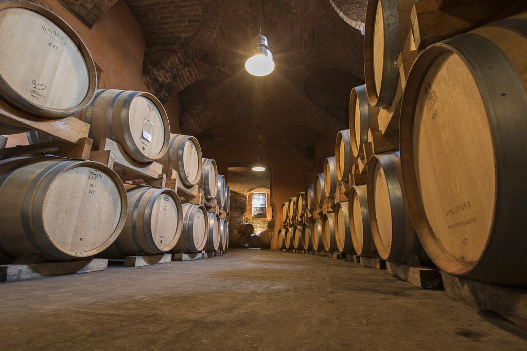 Marchesi Alfieri - Cantine E Ospitalita San Martino Alfieri Kültér fotó