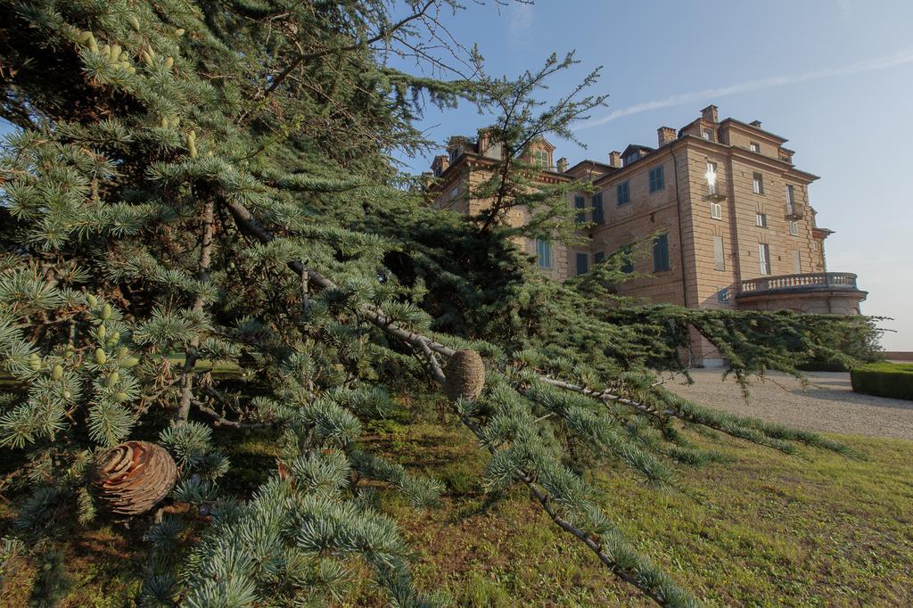 Marchesi Alfieri - Cantine E Ospitalita San Martino Alfieri Kültér fotó